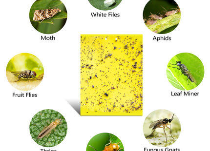 YELLOW INSECT STICKY BOARD