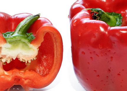 PEPPER CHILI POIVRON PIMENT PAPRIKA PIMIENTO