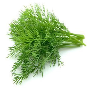 DILL ALSHABT EGYPT (100 GM) الشبت