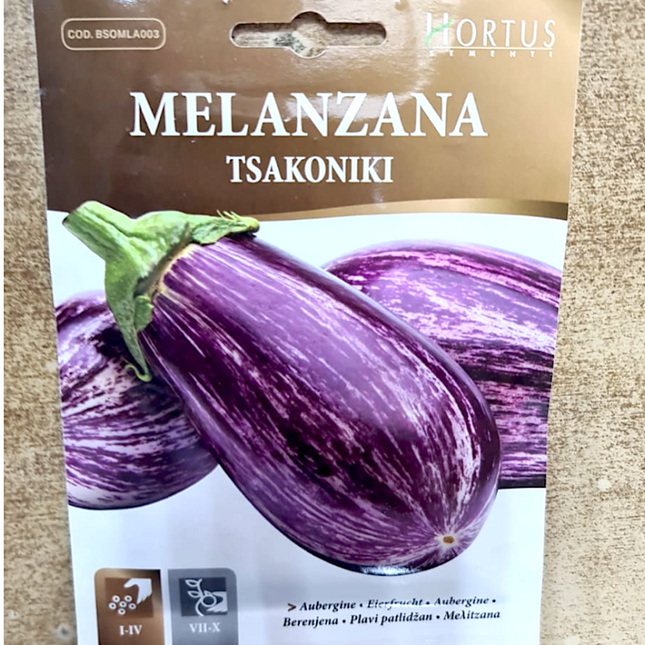 AUBERGINE MELANZANA TSAKONIKI