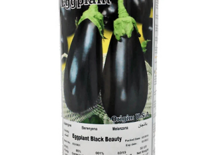 AGRIMAX CAN EGGPLANT BLACK BEAUTY