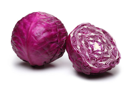ملفوف وهاجةF1 (CABBAGE RED WAHAJH)