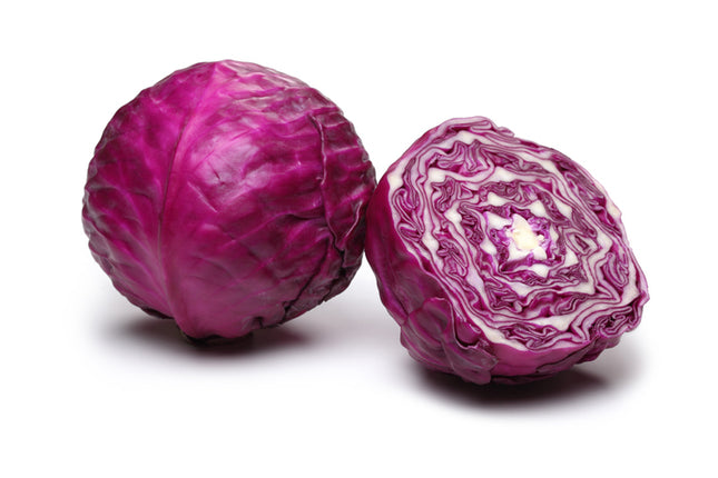 ملفوف وهاجةF1 (CABBAGE RED WAHAJH)