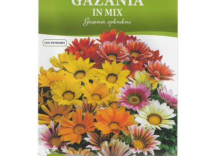 GAZANIA GAZANIE GAZANIA IN MIX