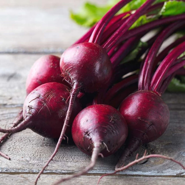 BEET ROOT