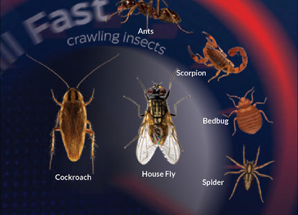 IC Turbo Insecticide for Use in Organic Pro.