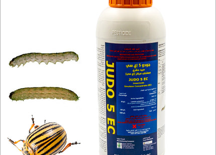 Judo 5 EC