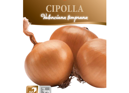 ONION OIGNON CIPOLLA VALENCIANA