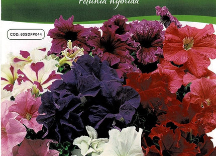 PETUNIA IBRIDA NANA IN MIX