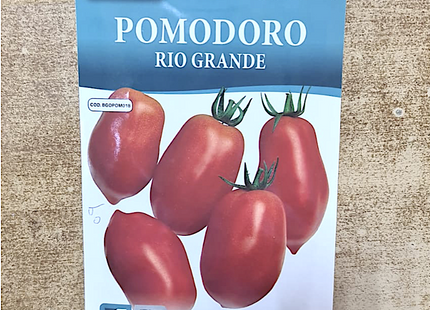 TOMATO PARADAJZ POMODORO RIO GRANDE
