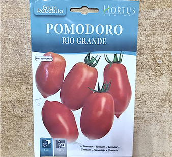 TOMATO PARADAJZ POMODORO RIO GRANDE