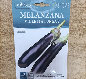 AUBERGINE MELANZA VIOLETTA LUNGA 2
