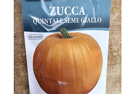 PUMPKIN ZUCCA
