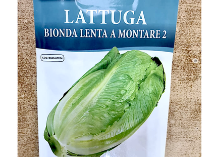 بذور أعشاب الخس "Bionda Lenta A Montare" 