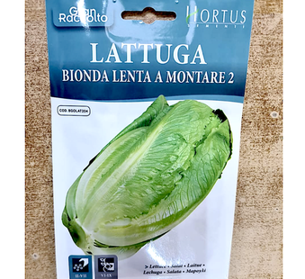 بذور أعشاب الخس "Bionda Lenta A Montare" 