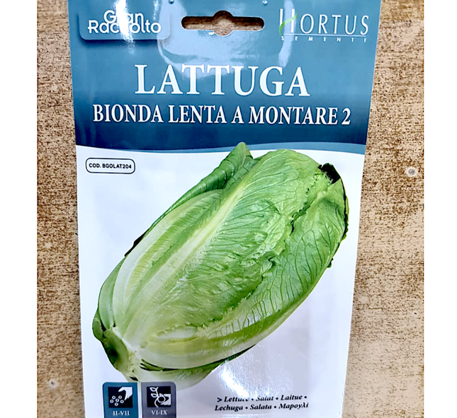 بذور أعشاب الخس "Bionda Lenta A Montare" 