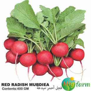 فجل مبدعة الأحمر(RED RADISH MUBDIEA 400GM)