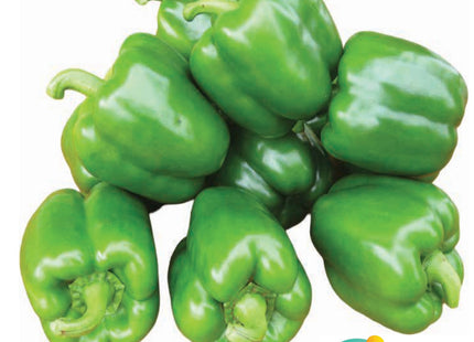 SWEETPEPPER ALBARSHA 500 seeds