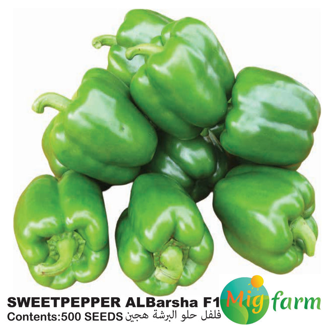 SWEETPEPPER ALBARSHA 500 seeds