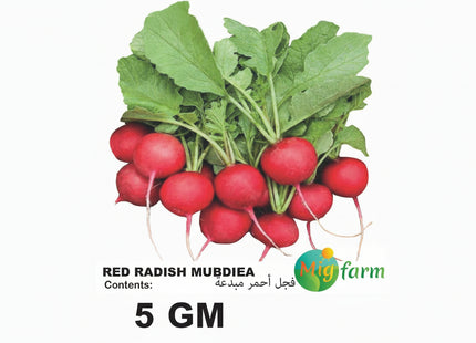فجل مبدعة الأحمر(RED RADISH MUBDIEA 5 Gm))