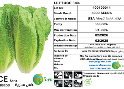 خس سارية (LETTUCE SARIA) 5000 seeds