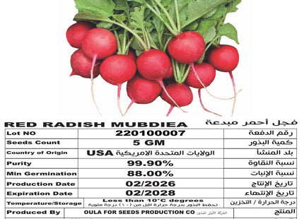 فجل مبدعة الأحمر(RED RADISH MUBDIEA 5 Gm))
