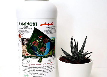 كامينغكسي 1 لتر