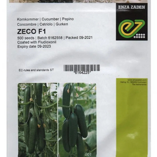CUCUMBER ZECOF1 500 SEED PKT