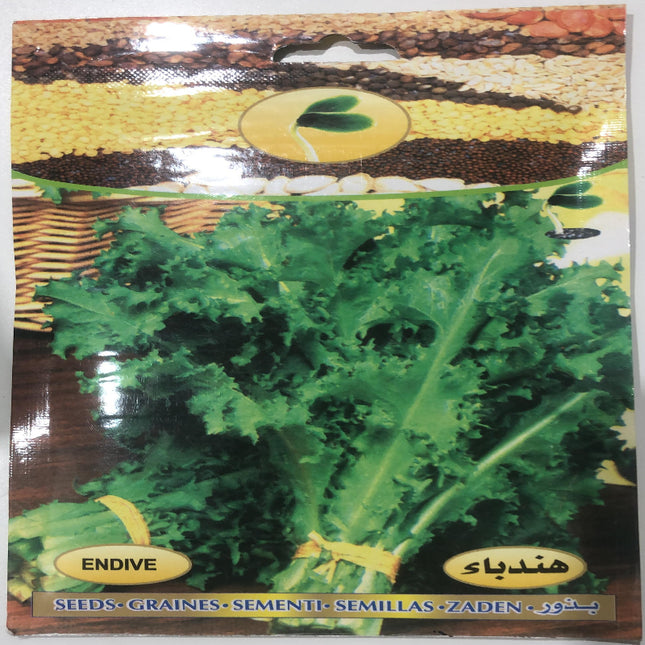 هندباء