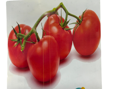 طماطم دائرية طماطم غير محددة  F1 (TOMATO ROUND INDERTMINATE F1)