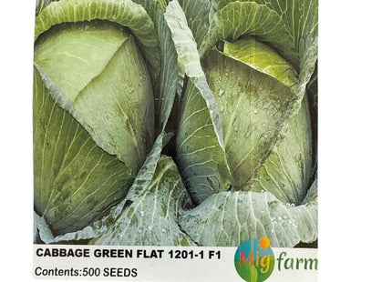 ملفوف أخضر مسطح  F1 (CABBAGE GREEN FLAT F1)