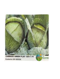 ملفوف أخضر مسطح  F1 (CABBAGE GREEN FLAT F1)