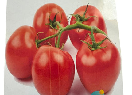 طماطم دائرية 10448 F1 (TOMATO ROUND INDETERMINATE)