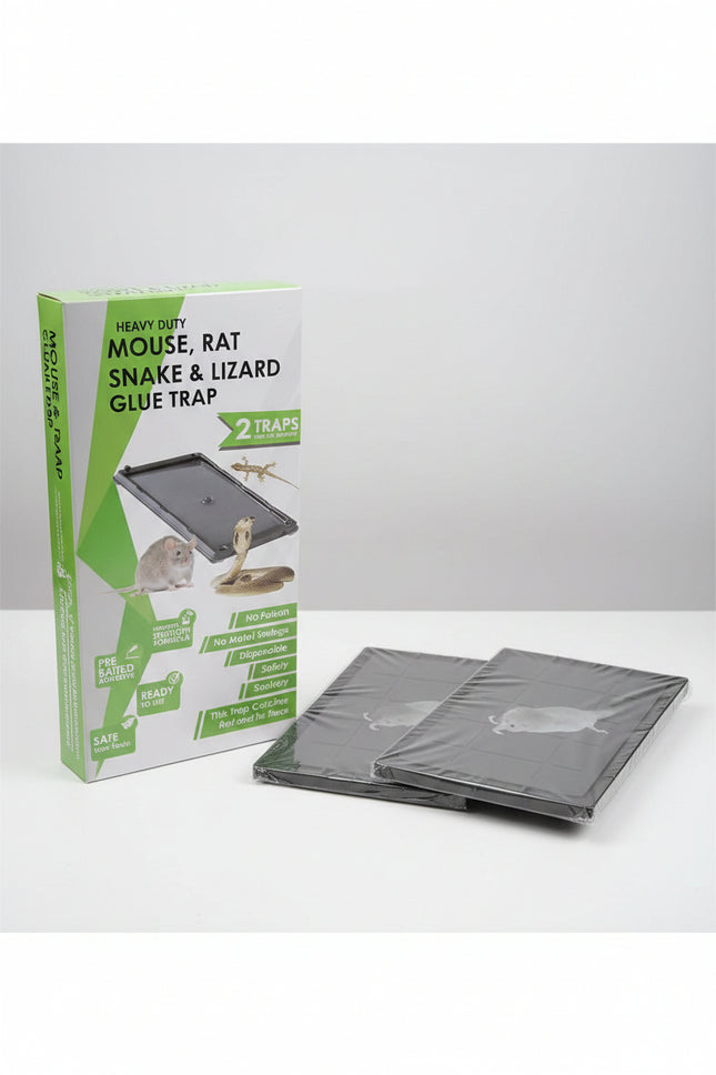 RAT GLUE TRAP CATCH CLEAR