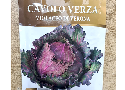 savoy cabbage