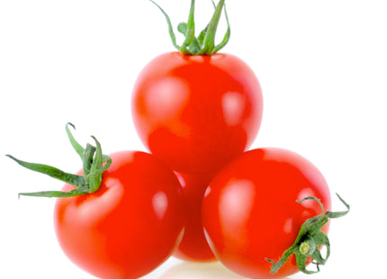 جولة الطماطم المحددة  F1 (TOMATO ROUND DETERMINATE)