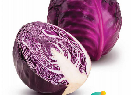 ملفوف وهاجةF1 (CABBAGE RED WAHAJH)
