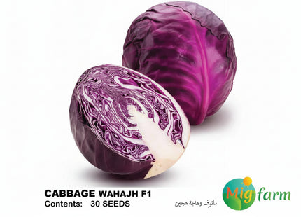 ملفوف وهاجةF1 (CABBAGE RED WAHAJH) 30 SEEDS