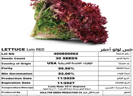خس لولو أحمر (LETTUCE LOLO RED) 30 SEEDS
