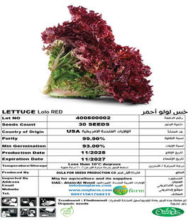 خس لولو أحمر (LETTUCE LOLO RED) 30 SEEDS