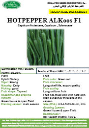 فلفل حار الكووس  F1 (HOTPEPPER AL KOOS F1) MINI PACKET 30 SEEDS