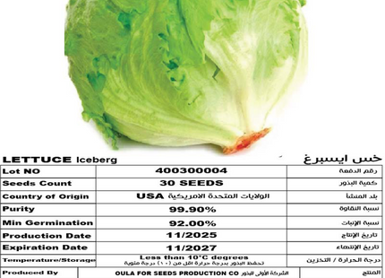 خس ايسبرغ (LETTUCE ICEBERG) 30 SEEDS