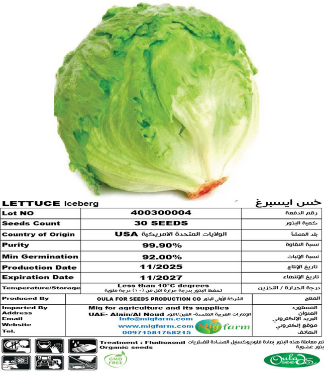 خس ايسبرغ (LETTUCE ICEBERG) 30 SEEDS
