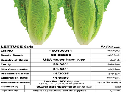 خس سارية (LETTUCE SARIA) 30 SEEDS