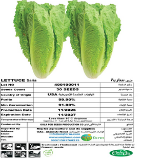 خس سارية (LETTUCE SARIA) 30 SEEDS