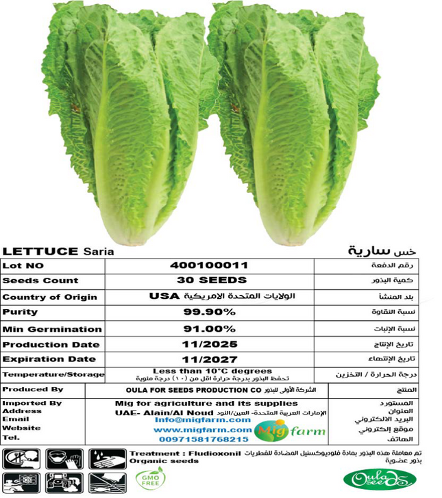 خس سارية (LETTUCE SARIA) 30 SEEDS