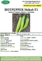 فلفل شهاب F1 ( HOTPAPPER SHIHAB F1) MINI PACKET 30 SEEDS