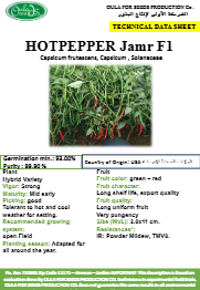 فلفل حار جمر F1 (HOT PEPPER JAMR F1) MINI PACKET 30 SEEDS