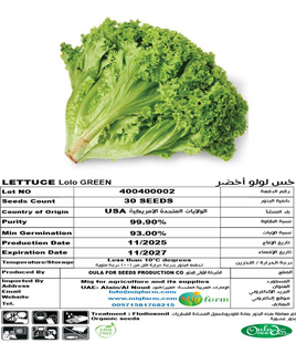خس لولو أخضر (LETTUCE LOLOGREEN) 30 SEEDS