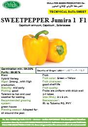 سويت بيبر جميرا 1 F1 (SWEETPEPPER JUMIRA-1 F1) MINI PACKET 30 SEEDS